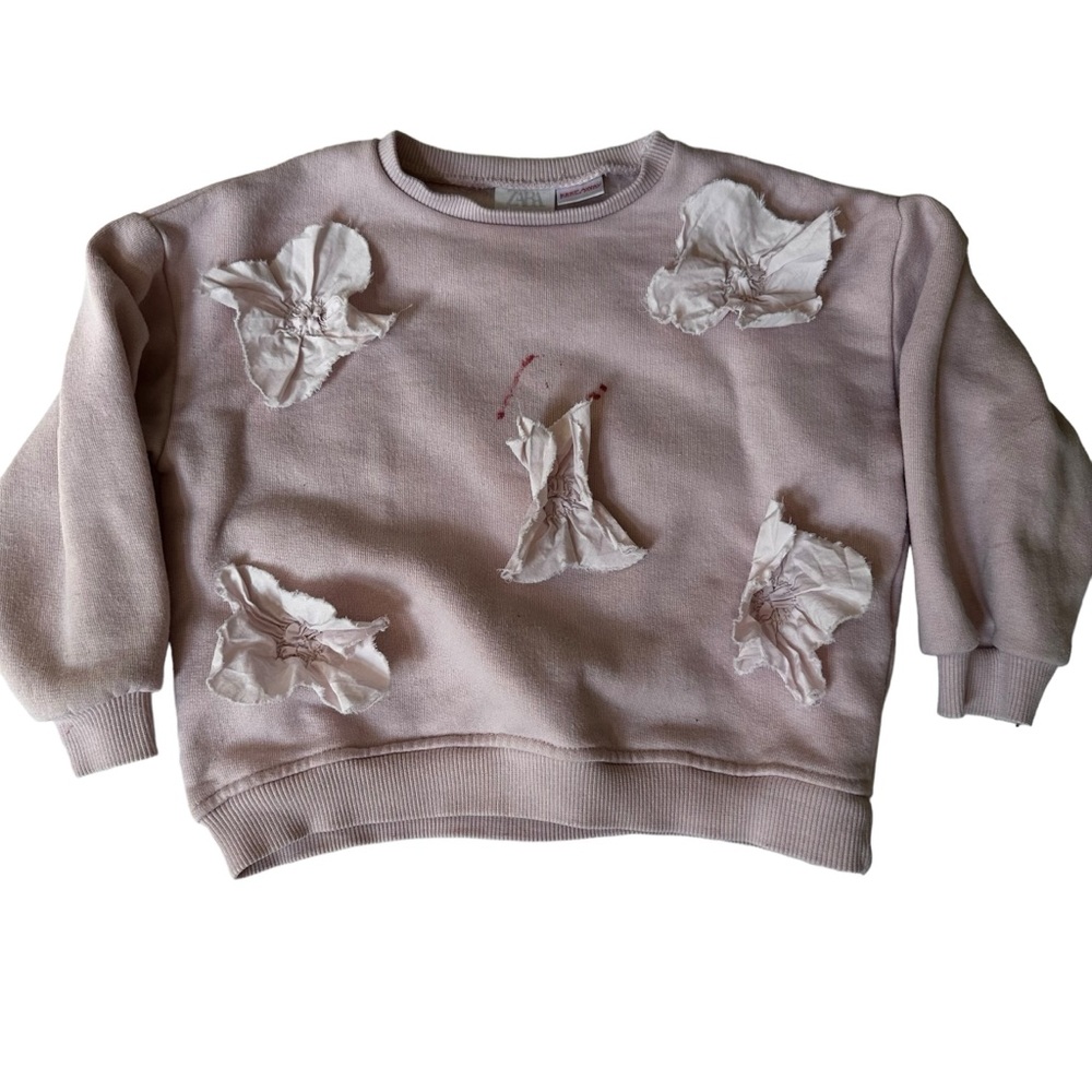 Zara Sweatshirt